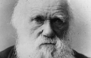 Darwin, Dios y la icneumónida