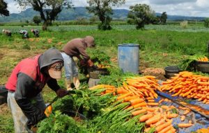 Por un modelo de producción rural inclusivo